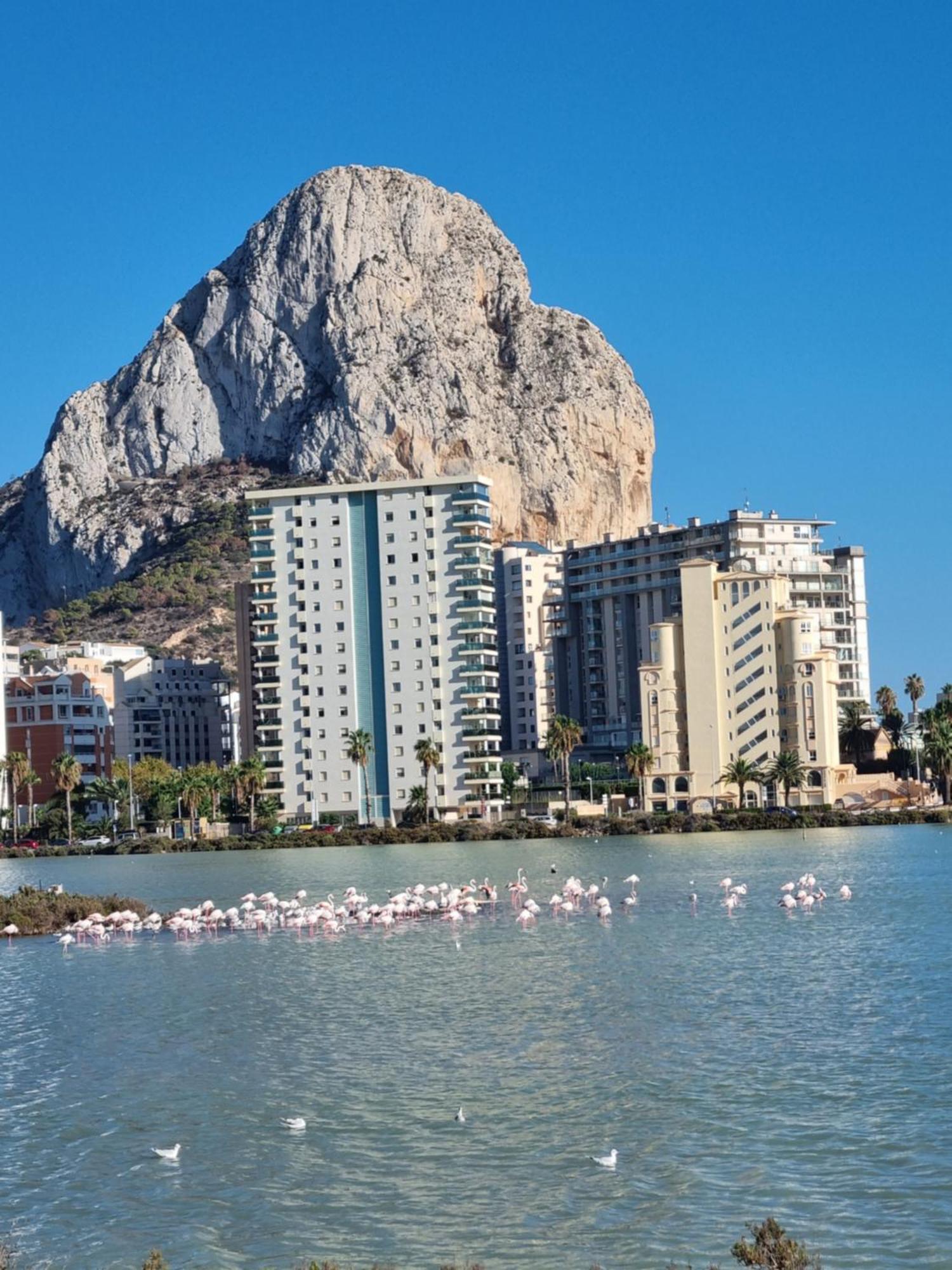 Ap Skerup Cerca Playa Apartment
